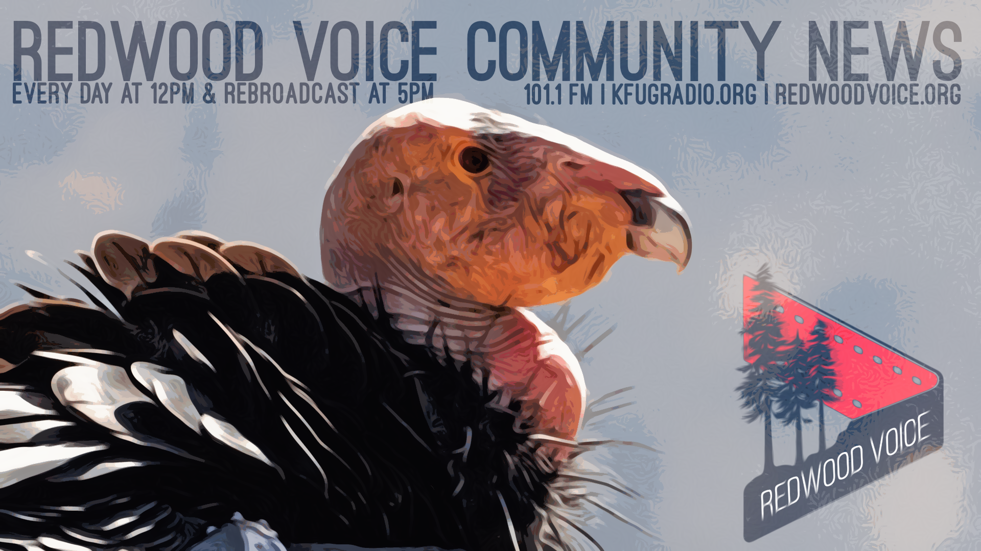 Condor Parents Conquer Challenges in Redwood Park