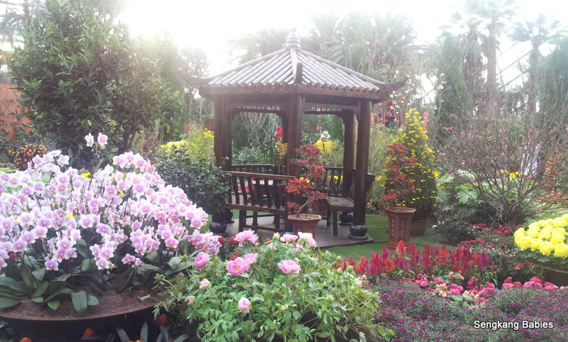 Seeking blossoms? These 6 Triangle gardens are worth the journey