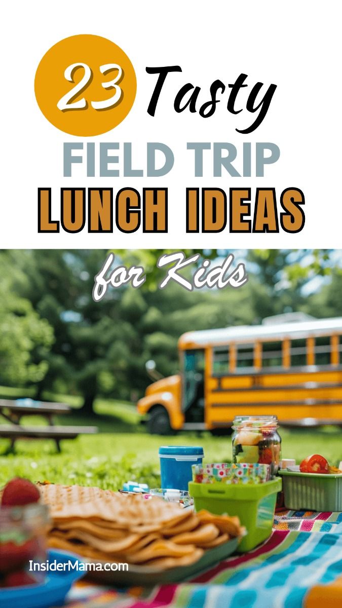 Creative and Easy Field Trip Lunch Ideas for Kids and Adults