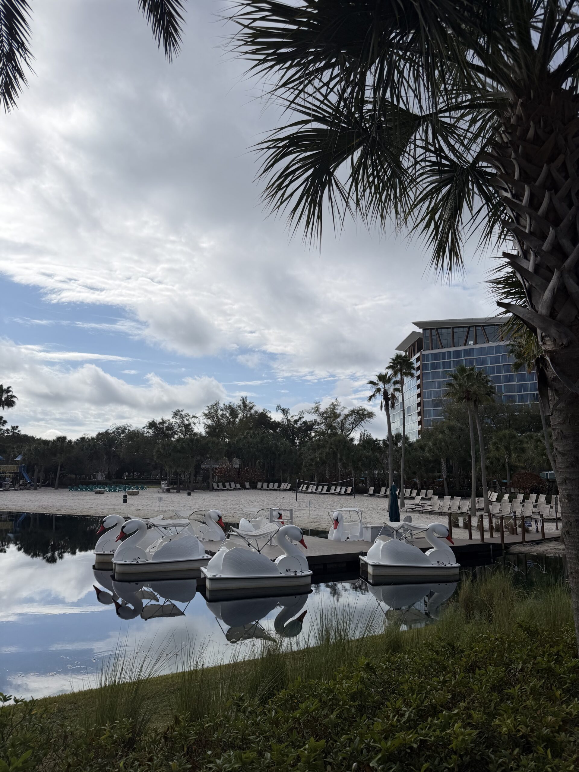 Walt Disney World: Swan, Dolphin, or Swan Reserve? Which is Best?