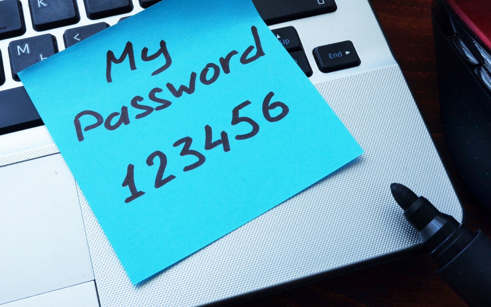 Who Will End Password Tyranny?