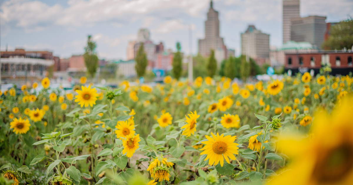 Top 5 Vibrant and Picture-Perfect Spots in Rhode Island