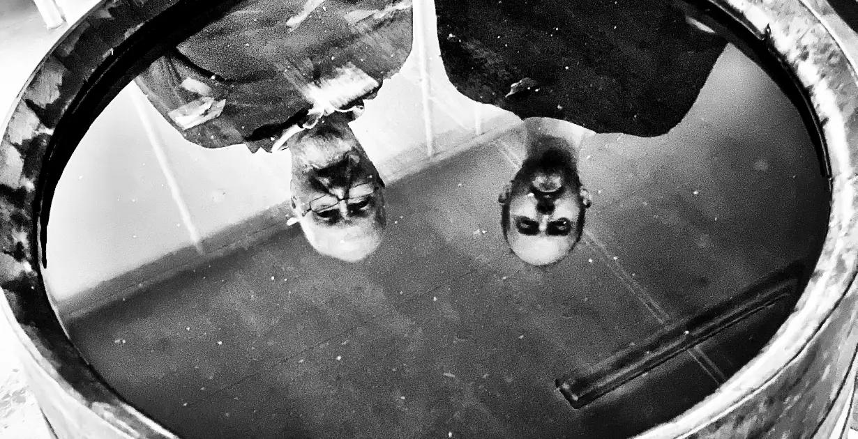 The Whisky Whisperers of Duns: A Father-Son Legacy Redefining Scotch