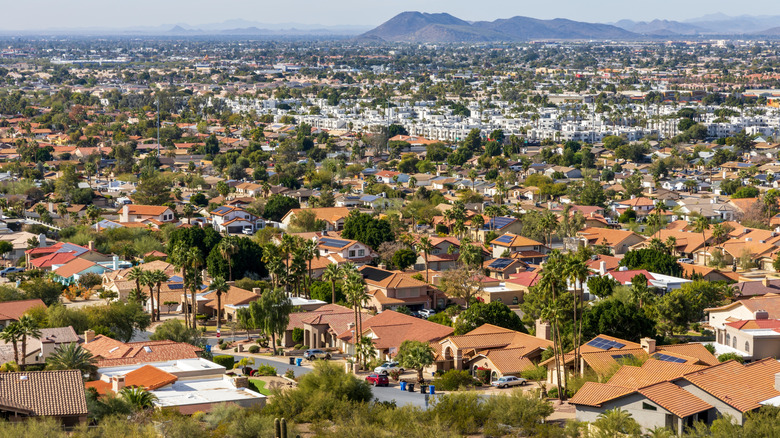 Affordable Phoenix Gem: Mountain Views, Peaceful Parks, and Delicious Eats