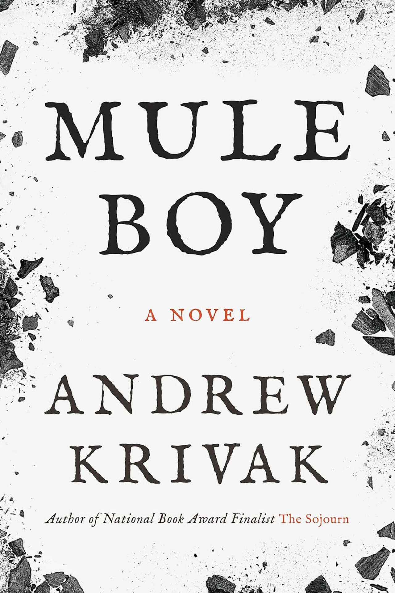 New at Jacksonville Public Library: Shelf Life Update