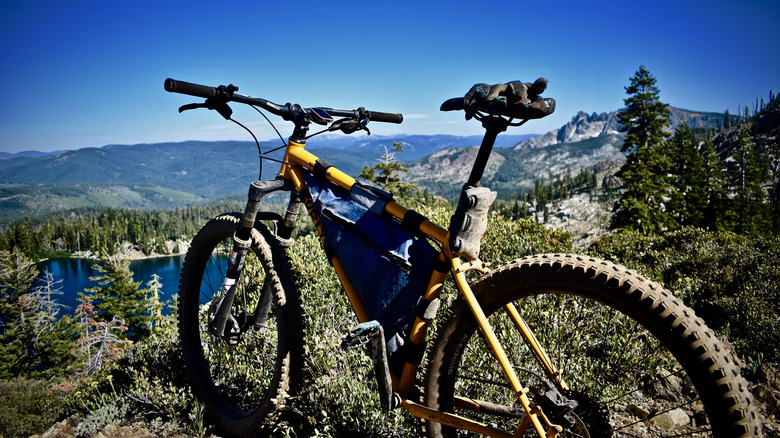 California’s Top 5 Mountain-Biking Trails, Rated by Reviews