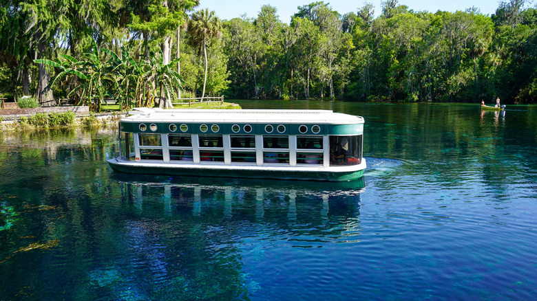 Dazzling Glass-Bottom Boat Tours at Florida’s Crystal Clear Springs