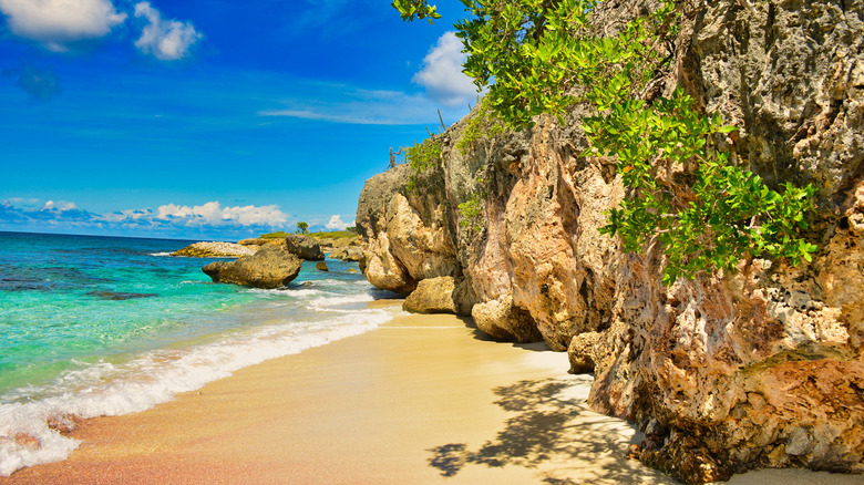 Top 5 Charming Stays on Bonaire, the Warmest Caribbean Island