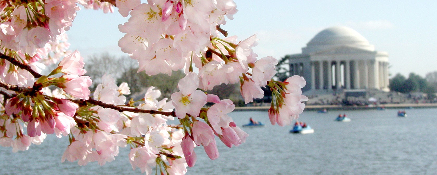 How to Choose the Perfect DC Outfit for a Spring Visit to Washington, D.C.